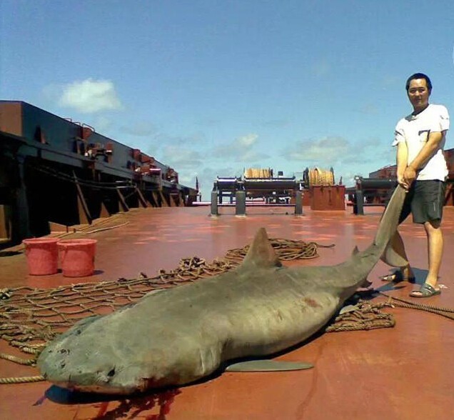 国际货轮工作照！环境照！