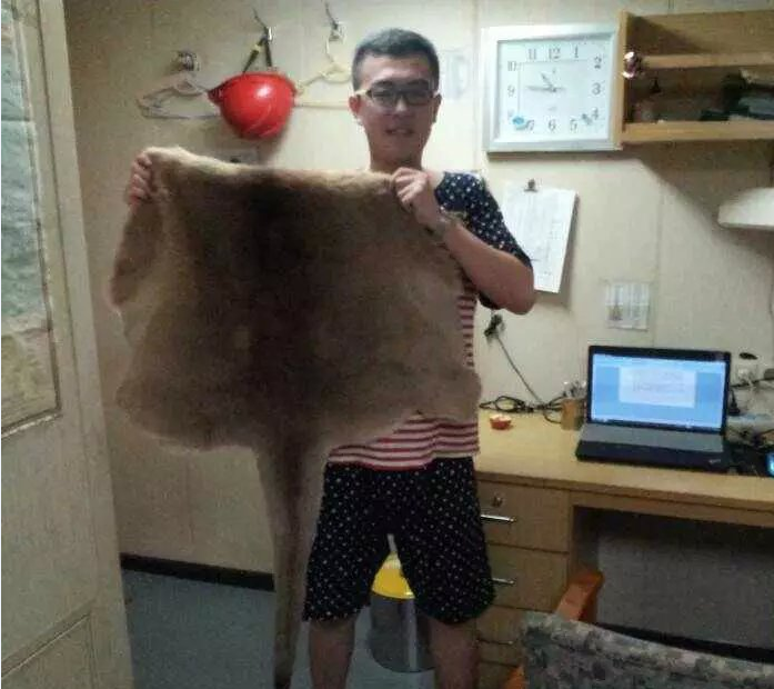 国际货轮电焊厨师帮厨水手机工招聘！包吃住！待遇好！