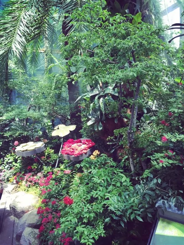 新加坡建筑普工教师文员助理设计师数控定多工种新单！