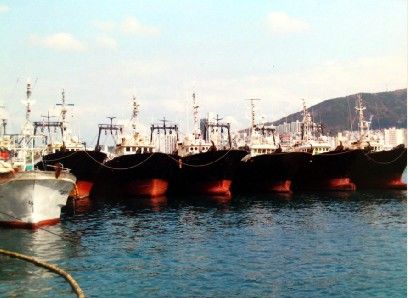 韩国渔工厨师销售服务员渔工帮厨招聘！包吃住！一年13薪！