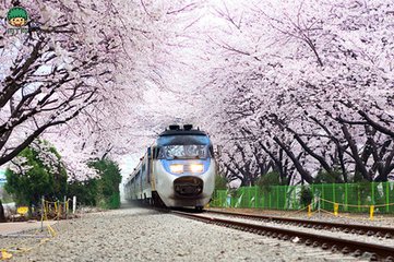 日本劳动力紧缺外籍劳工扩张