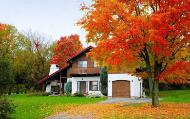 加拿大正规工作签剔骨工项目！可全家移民！