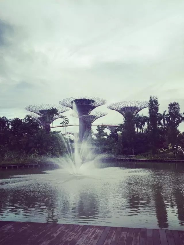 新加坡多工种新单！！收入高！待遇好！