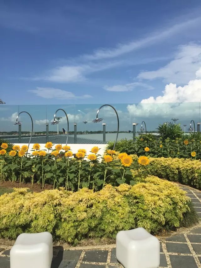 新加坡9.12新单！！！