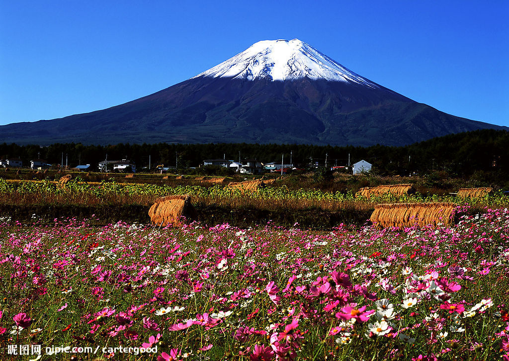 日本食品加工电焊水产塑料成型等多工种招聘！