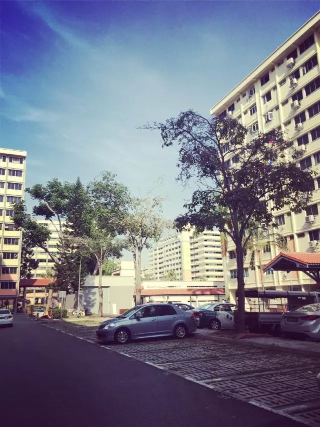 新加坡马上面试新单！非常急！