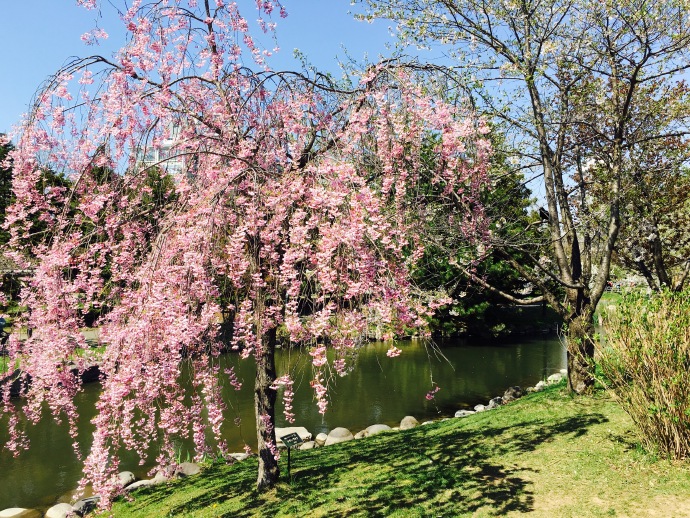 日本男女工单！可贷款！！出境快