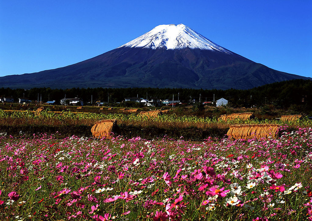 日本劳务新单，可全额贷款