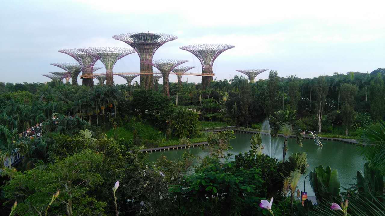 新加坡建筑工招聘，待遇好，出境快！