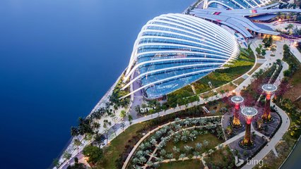 新加坡多工种招聘，出境快费用低！！