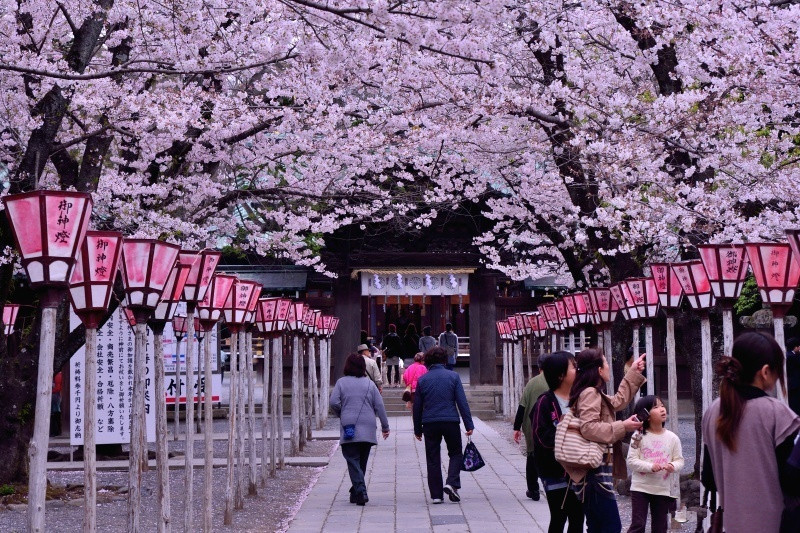 日本养殖种植建筑食品加工等行业招聘普工技术工，待遇好