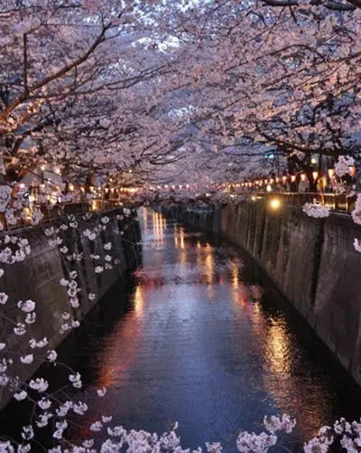 日本劳务招聘综合简章，工种多待遇好