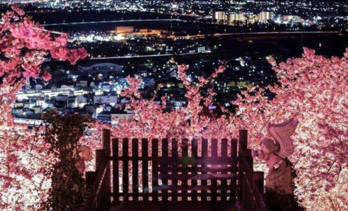 日本短期培训+工签，大学生重点推荐项目，学业事业双丰收！