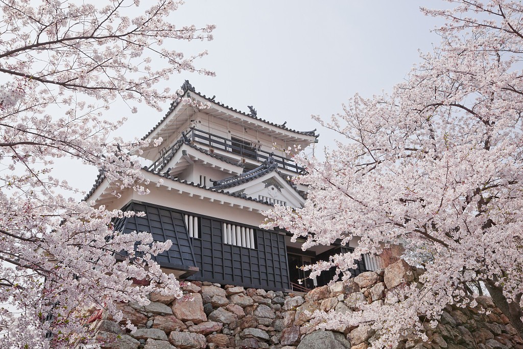 重要通知——日本签证变严了！请知悉！