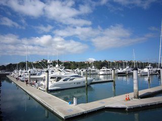 新西兰奥克兰中餐馆招烧烤师傅 四川特色风味烧烤 技术要求低