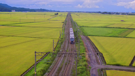 日本水果社定向留学 ——高端就业
