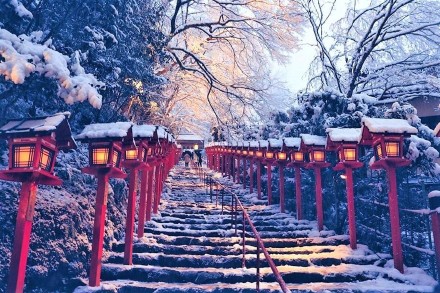 感谢刘先生信任，报名日本留学项目。