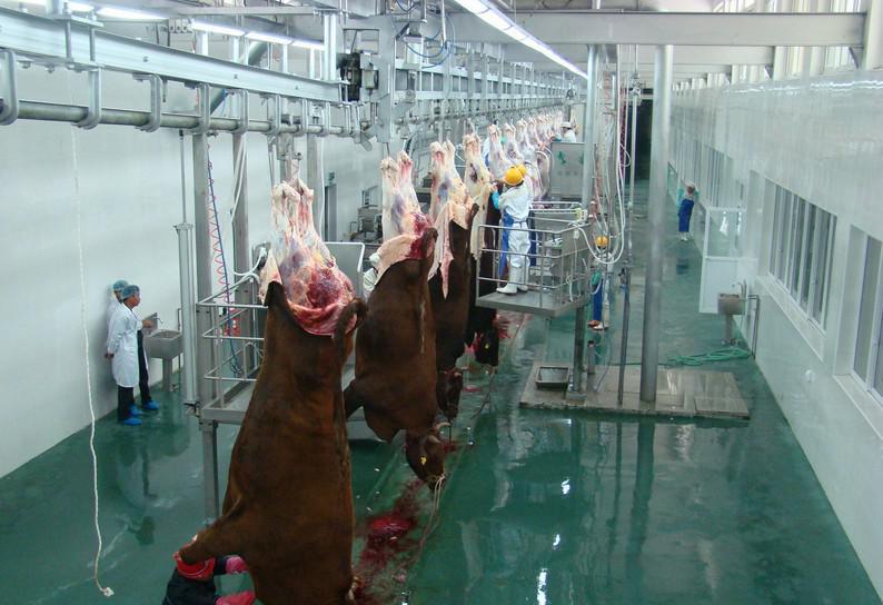 澳大利亚剔骨工482工签 移民带家属