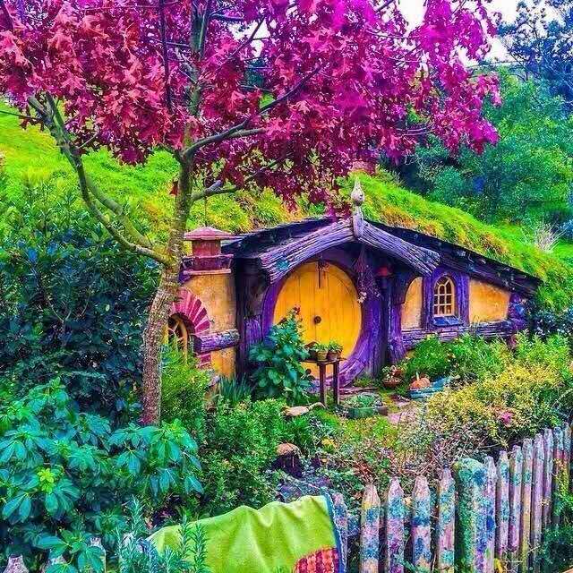 新西兰中餐厨师招聘，正规工签，可带家属！