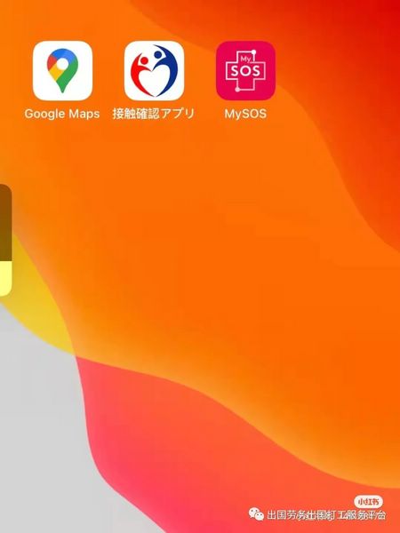 日本开境了，还不知道怎么去？日本入境最新政策，最全流程来了！