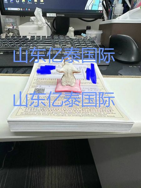 又是一月下签时 日本留学23年10月生东京入国管理局在留资格全部下发