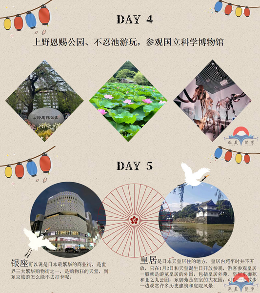 日本游学~在这个冬天主打一个探索之旅