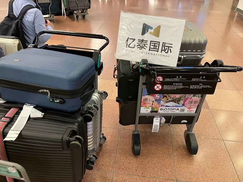 日本留学10月生  第一批入境今日份接机