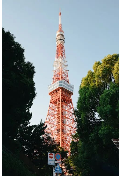 相信关注日本留学、日本语言学校的同学都已经发现了，2025年语言学校满员真的太快了！