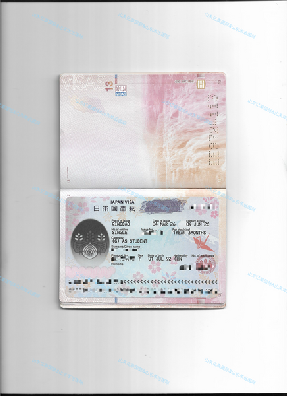 日本留学26年4月生出签~