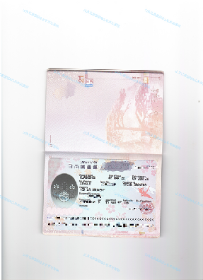 日本留学26年4月生出签~