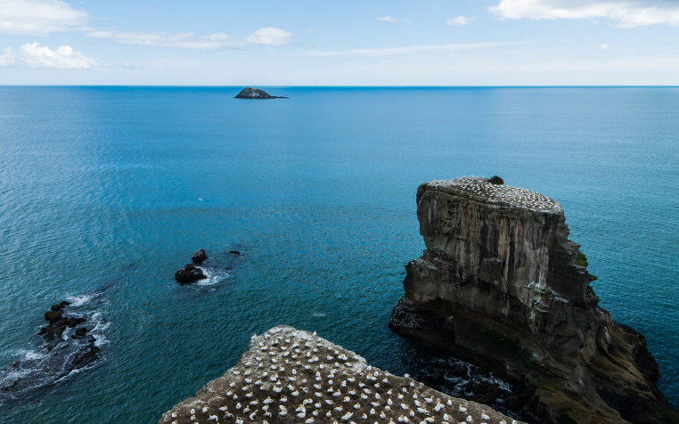 新加坡劳务招聘 要求简单