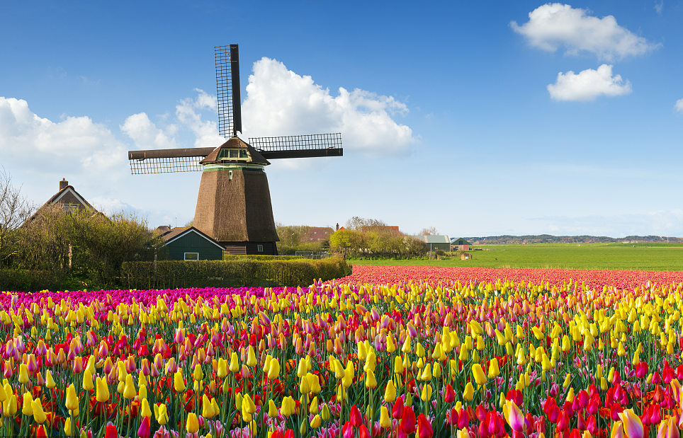 荷兰餐饮类工签 厨师面点师烧烤寿司铁板烧师傅招聘 月入2万