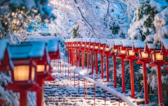 日本水果社定向留学 —“零”学费