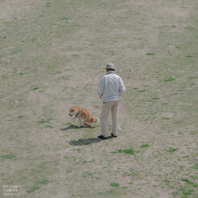 日本的养老机制是怎样的？为什么被评为特别适合养老的国家？