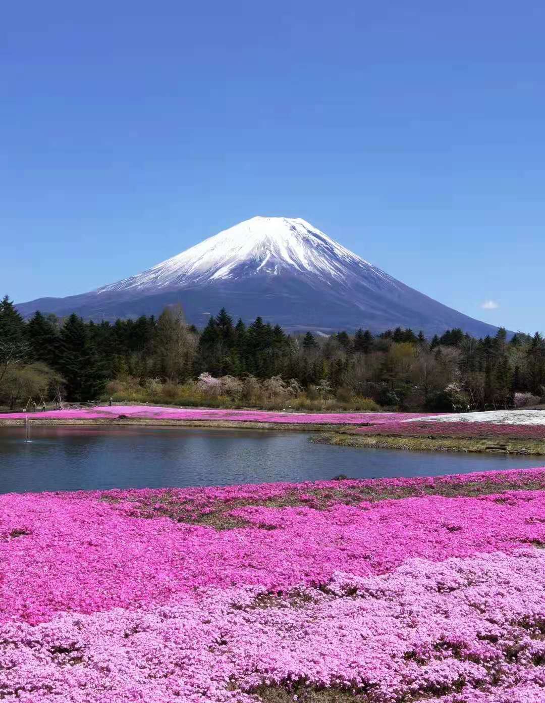 日本特定技能1号五年工作签 可选工种多时薪高 可携带家属拿身份